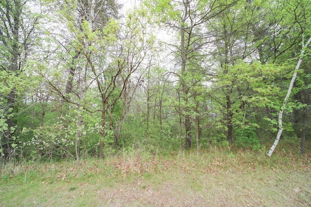5650 25th Ave SW, Pequot Lakes, MN 56472 - photo 19