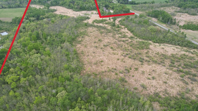 5650 25th Ave SW, Pequot Lakes, MN 56472 - photo 23