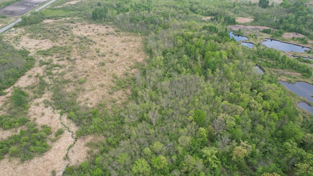 5650 25th Ave SW, Pequot Lakes, MN 56472 - photo 46