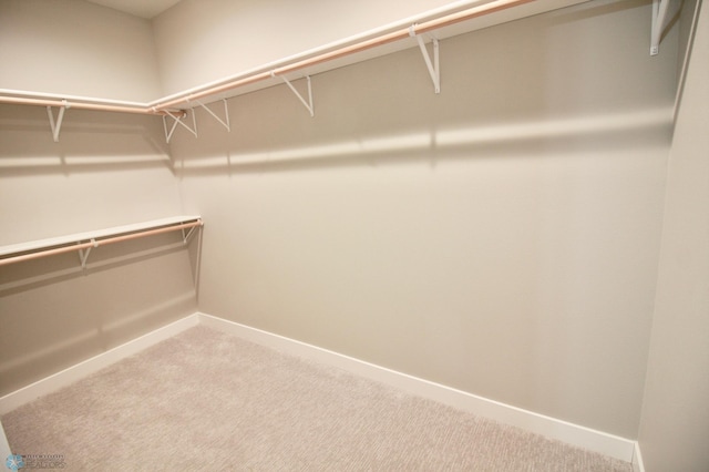 walk in closet featuring carpet floors