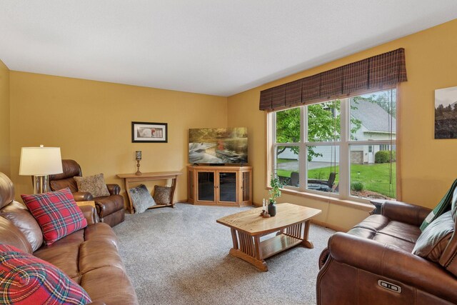4907 170th Ave NW, Andover, MN 55304 - photo 20