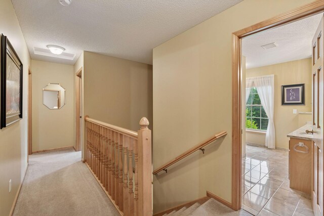 4907 170th Ave NW, Andover, MN 55304 - photo 41