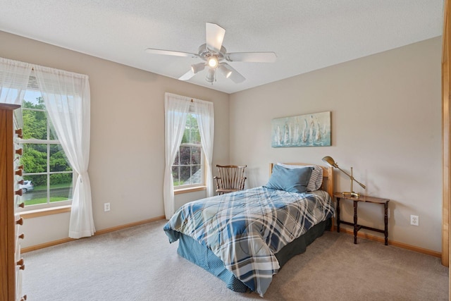 4907 170th Ave NW, Andover, MN 55304 - photo 42