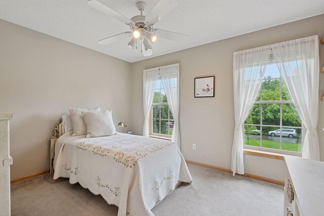 4907 170th Ave NW, Andover, MN 55304 - photo 44