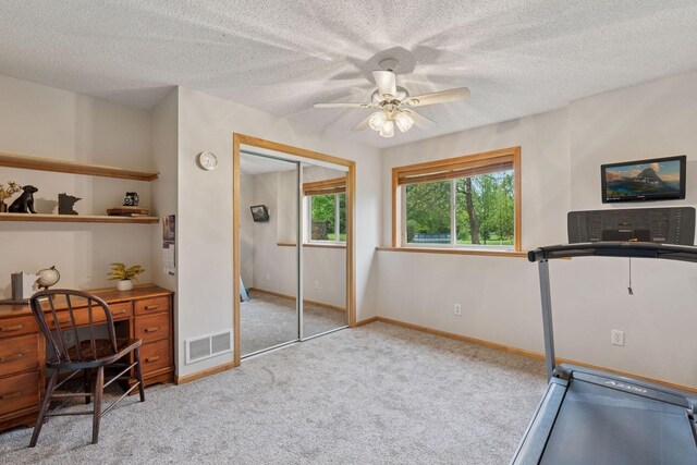 4907 170th Ave NW, Andover, MN 55304 - photo 49
