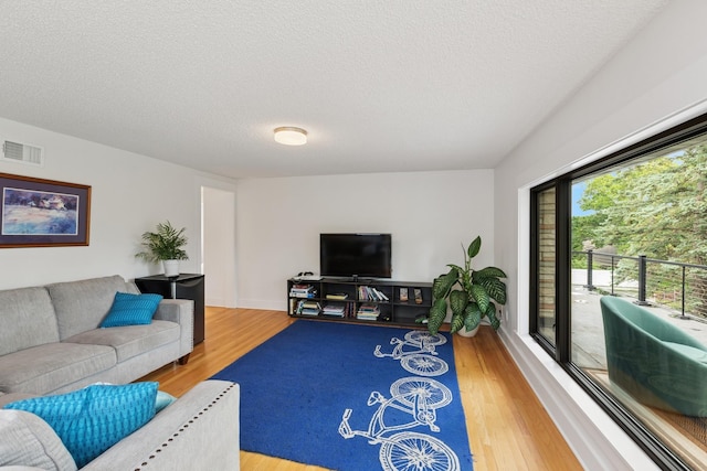 124 Paisley Ln, Golden Valley, MN 55422 - living room with wood finished floors and a textured ceiling