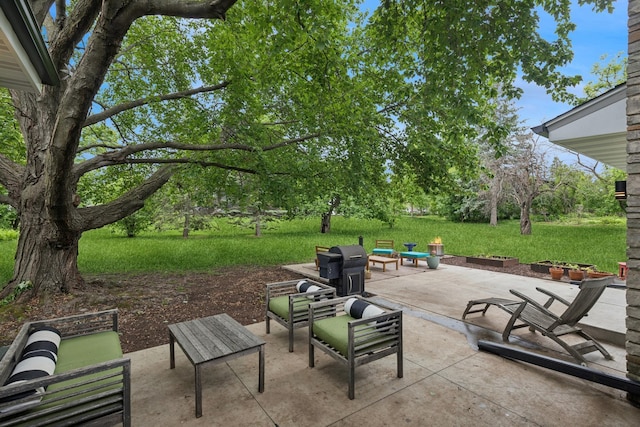124 Paisley Ln, Golden Valley, MN 55422 - view of patio / terrace with area for grilling and an outdoor living space