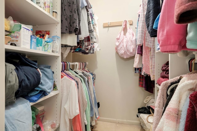 4201 Lakeside Ave N Unit 317, Brooklyn Center, MN 55429 - view of walk in closet