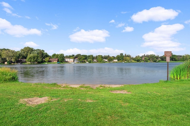 4201 Lakeside Ave N Unit 317, Brooklyn Center, MN 55429 - water view