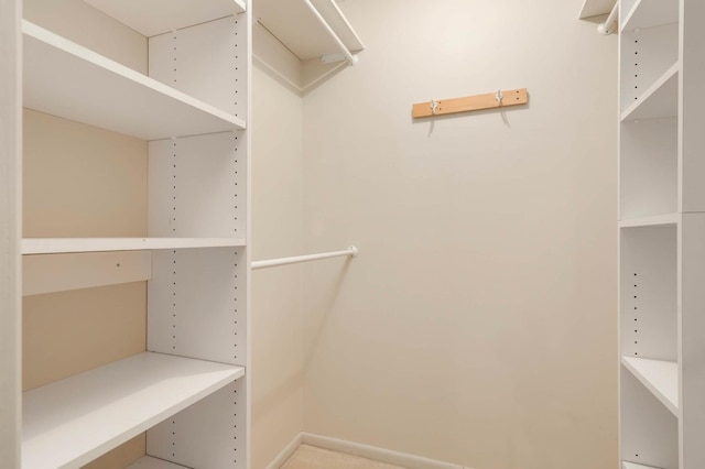 4201 Lakeside Ave N Unit 317, Brooklyn Center, MN 55429 - view of walk in closet