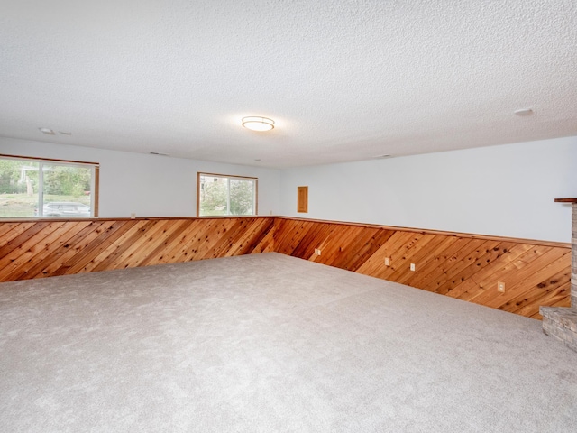7808 Sunkist Blvd, Brooklyn Park, MN 55444 - carpeted empty room featuring wood walls, wainscoting, and a textured ceiling