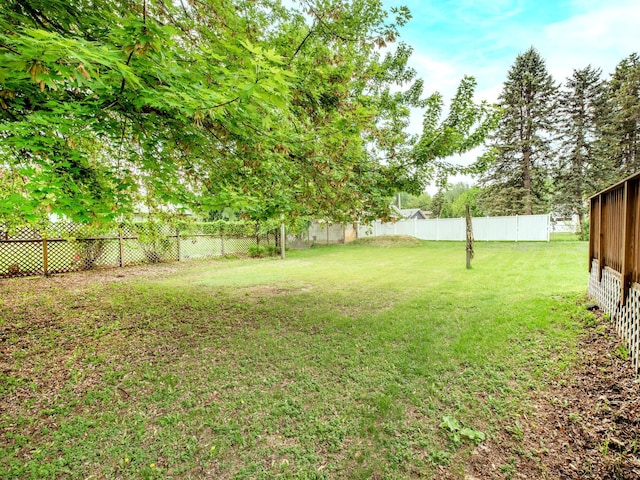 7808 Sunkist Blvd, Brooklyn Park, MN 55444 - view of yard
