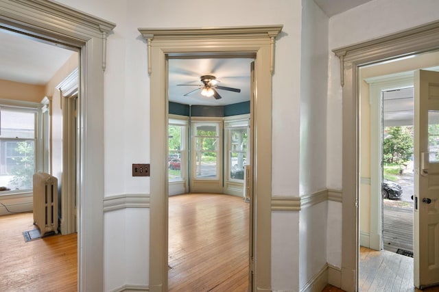 709 7th St SE, Minneapolis, MN 55414 - hallway with radiator heating unit, light wood finished floors, and plenty of natural light