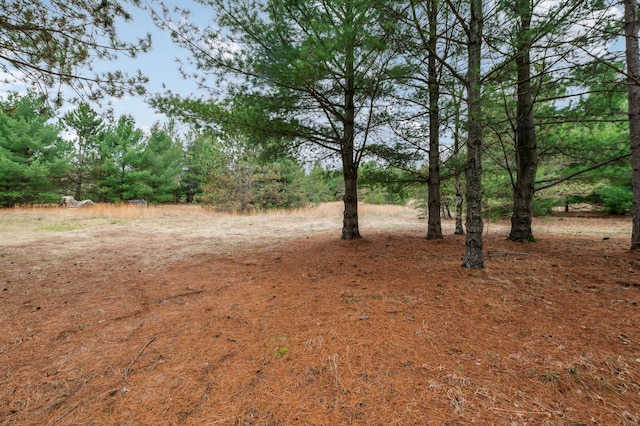 24625 Fosmo Dr, La Follette Twp, WI 54893 - view of yard