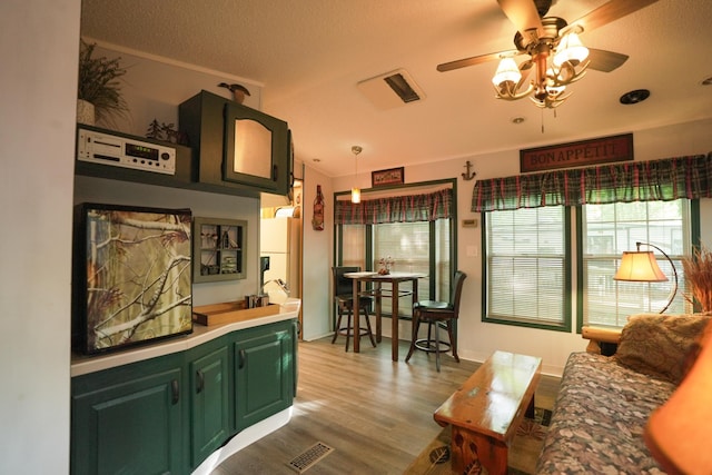 32741 Lakes Trl Unit 11A, Chisago Lake Twp, MN 55045 - living room featuring healthy amount of natural light, a ceiling fan, wood finished floors, and baseboards