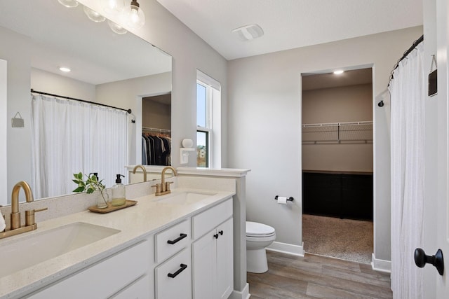 1072 Shoreview Dr, Jordan, MN 55352 - full bathroom featuring wood finished floors, toilet, double vanity, a spacious closet, and baseboards