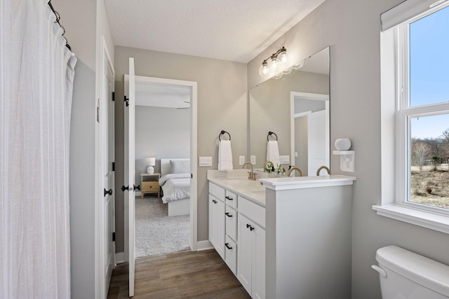 1072 Shoreview Dr, Jordan, MN 55352 - ensuite bathroom featuring wood finished floors, toilet, and double vanity