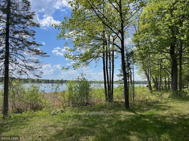 water view