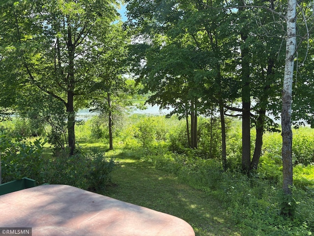4701 Shangri La Dr NE, Wabedo Twp, MN 56655 - view of yard featuring a patio