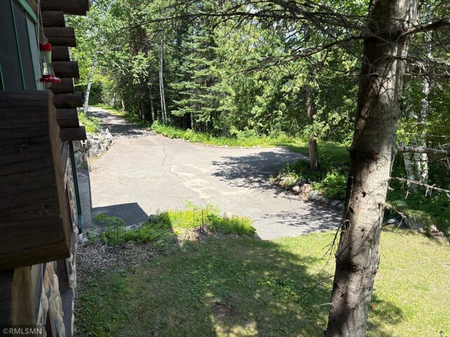 4701 Shangri La Dr NE, Wabedo Twp, MN 56655 - view of yard with a forest view