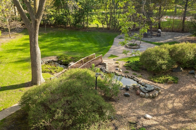 2200 Nevada Ave S Unit 313, Saint Louis Park, MN 55426 - view of green lawn