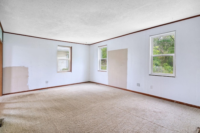 W11651 State Road 35, Oak Grove Twp, WI 54021 - unfurnished room featuring ornamental molding, carpet flooring, and a textured ceiling