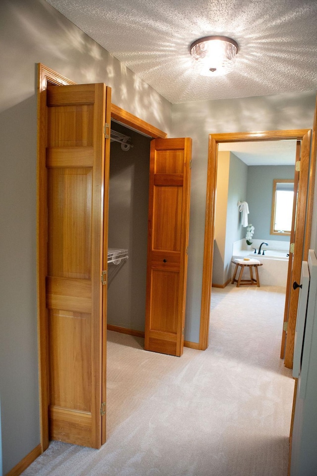 2505 Christian Dr, Chaska, MN 55318 - hallway featuring light carpet, a textured ceiling, and baseboards