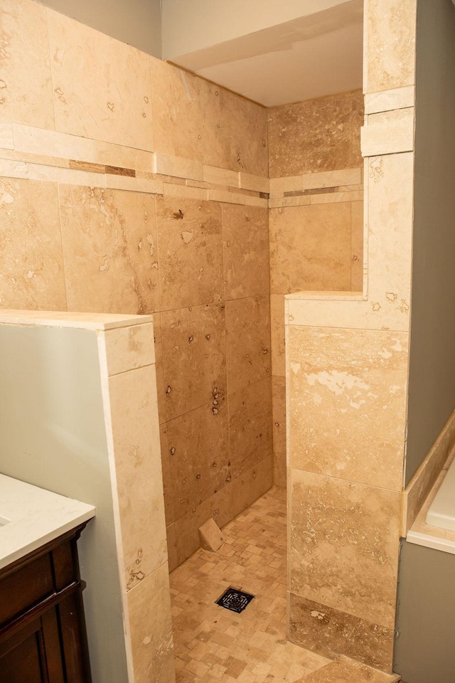 2505 Christian Dr, Chaska, MN 55318 - bathroom featuring a walk in shower and vanity