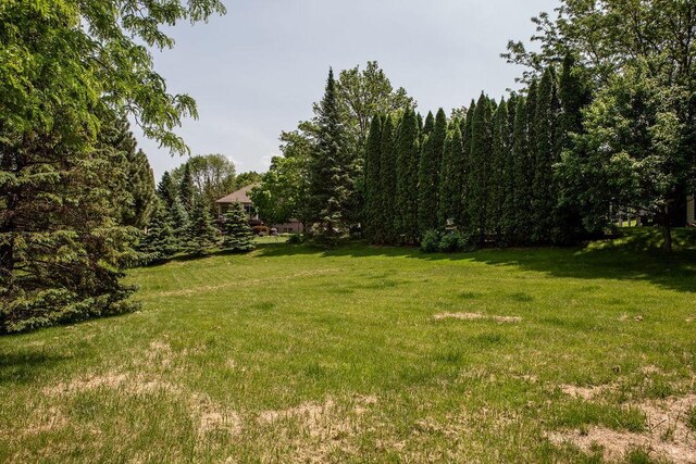 2505 Christian Dr, Chaska, MN 55318 - view of green lawn