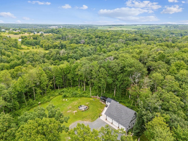 2293 57th Ave, East Farmington, WI 54020 - aerial view of a forest