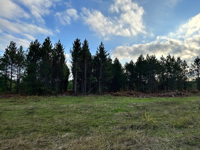 26062 350th St, Huntersville Twp, MN 56477