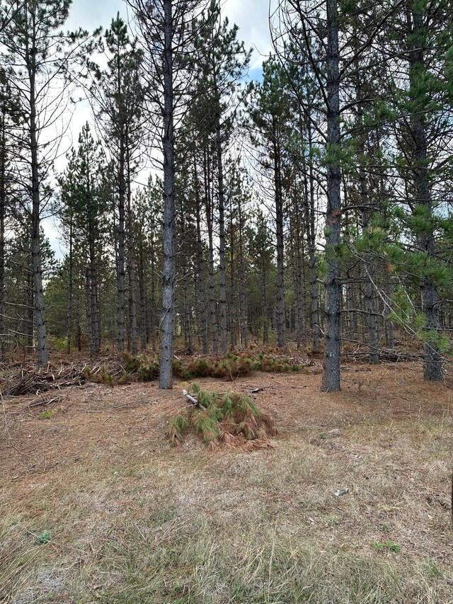 26062 350th St, Huntersville Twp, MN 56477