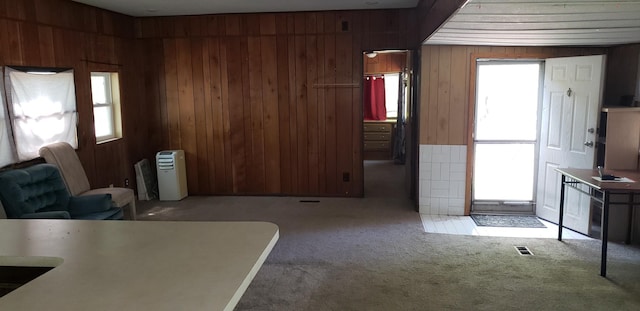 11347 3rd St NE, Blaine, MN 55434 - living room with carpet floors, healthy amount of natural light, and wood walls