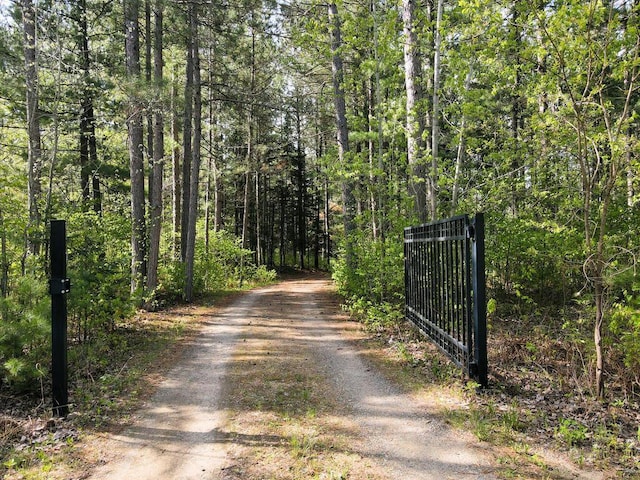 33272 Big Pine Trl, Grand Rapids, MN 55744 - view of dirt / gravel road featuring a gate and a forest view