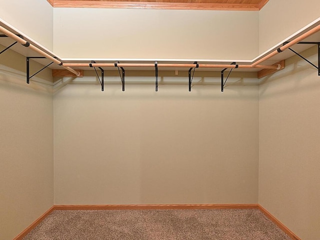 33272 Big Pine Trl, Grand Rapids, MN 55744 - spacious closet with carpet
