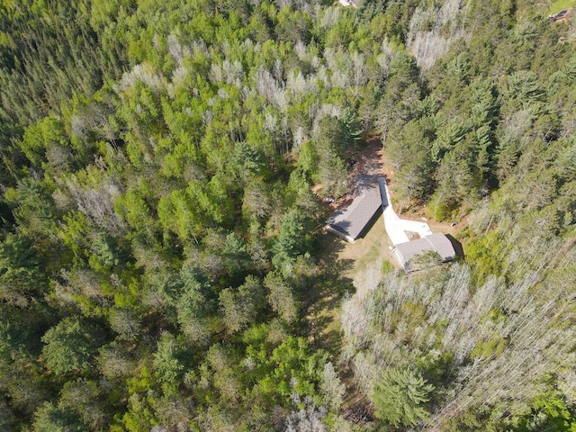 33272 Big Pine Trl, Grand Rapids, MN 55744 - view from above of property