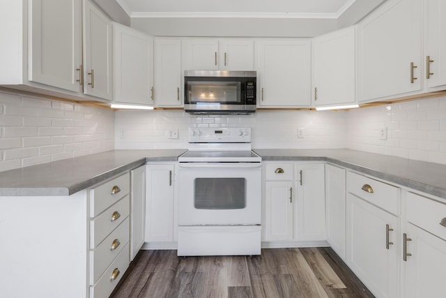 30105 Olinda Trl, Lindstrom, MN 55045 - kitchen featuring stainless steel microwave, white range with electric cooktop, white cabinetry, decorative backsplash, and ornamental molding