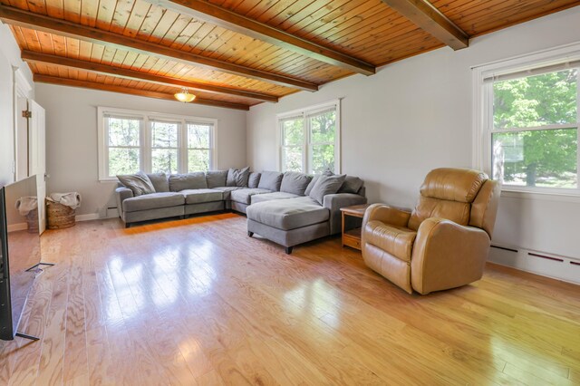 30105 Olinda Trl, Lindstrom, MN 55045 - living room with beam ceiling, plenty of natural light, light wood-type flooring, wooden ceiling, and a baseboard heating unit