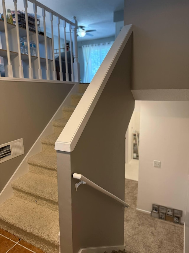 stairway with carpet floors