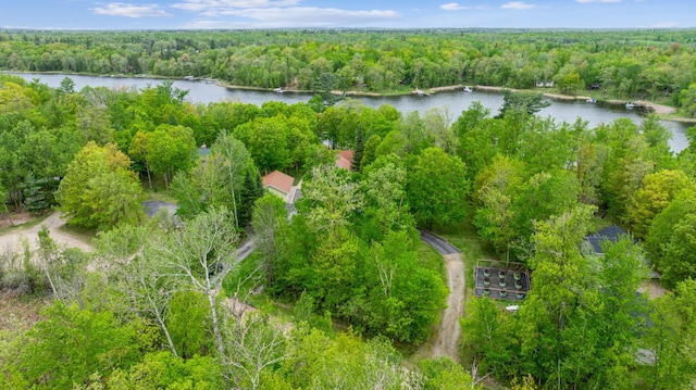 1972 Trillium Dr NW, Hackensack, MN 56452 - view of property location with a forest and a nearby body of water