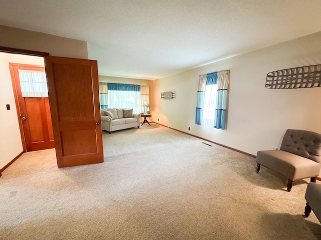 404 5th Ave, Wilmont, MN 56185 - living area with carpet flooring and baseboards