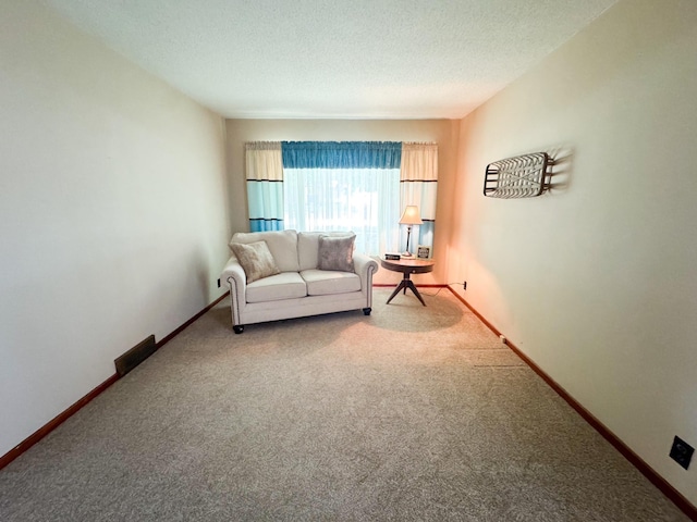 404 5th Ave, Wilmont, MN 56185 - living room featuring carpet, a textured ceiling, and baseboards
