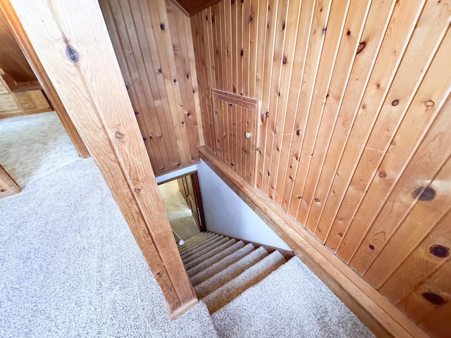 404 5th Ave, Wilmont, MN 56185 - stairway with carpet flooring