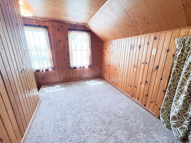 404 5th Ave, Wilmont, MN 56185 - bonus room featuring wooden walls, vaulted ceiling, carpet floors, and baseboards