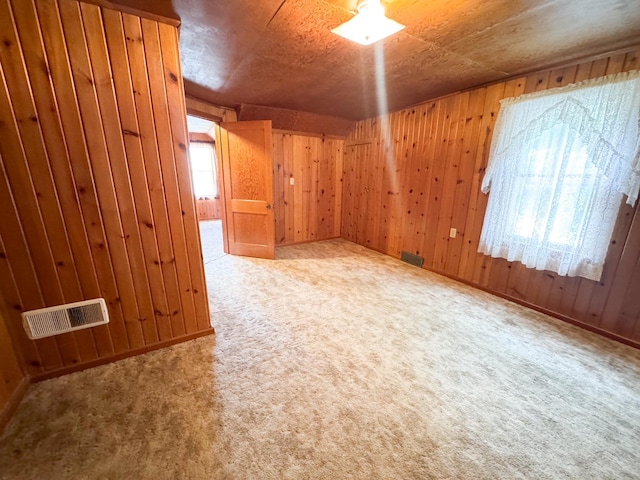 404 5th Ave, Wilmont, MN 56185 - unfurnished room with wooden walls and carpet flooring