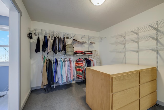8678 Boiling Springs Ln, Shakopee, MN 55379 - spacious closet with carpet