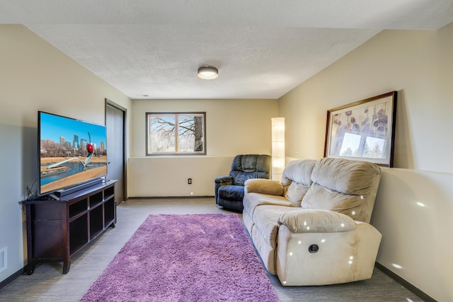8678 Boiling Springs Ln, Shakopee, MN 55379 - living room featuring wood finished floors and a textured ceiling