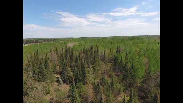 TBD Sunset Lake Dr, Saginaw, MN 55779 - photo 4
