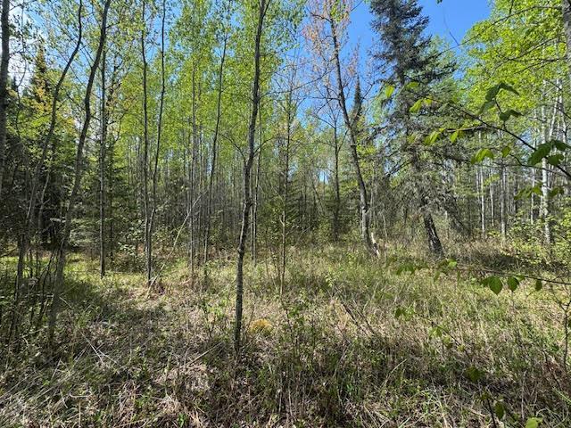 TBD Sunset Lake Dr, Saginaw, MN 55779 - photo 16