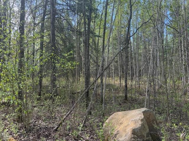 TBD Sunset Lake Dr, Saginaw, MN 55779 - photo 19